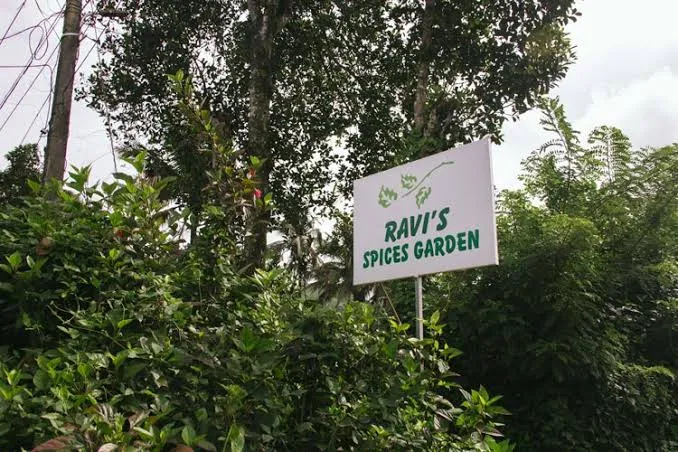 Ravi's Spice Garden, Munnar