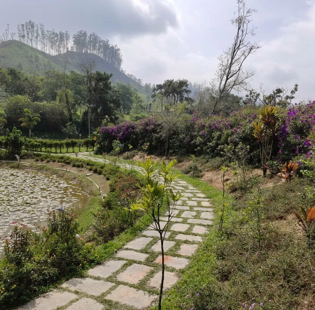 Blossom International Park, Munnar