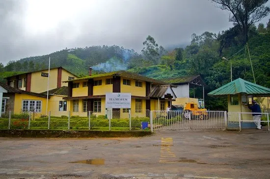 Soak in vistas at  Munnar: Serene Panorama Photo Escape, Munnar