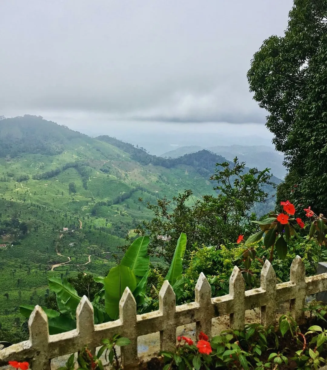 Pothamedu Viewpoint, Munnar