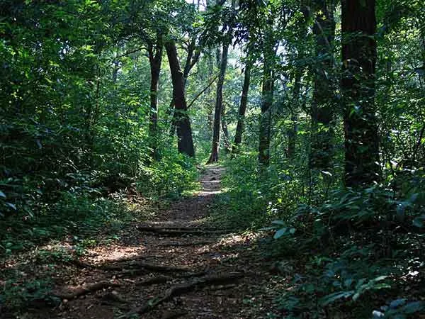 Explore Cotigo Wildlife Sanctuary, South Goa