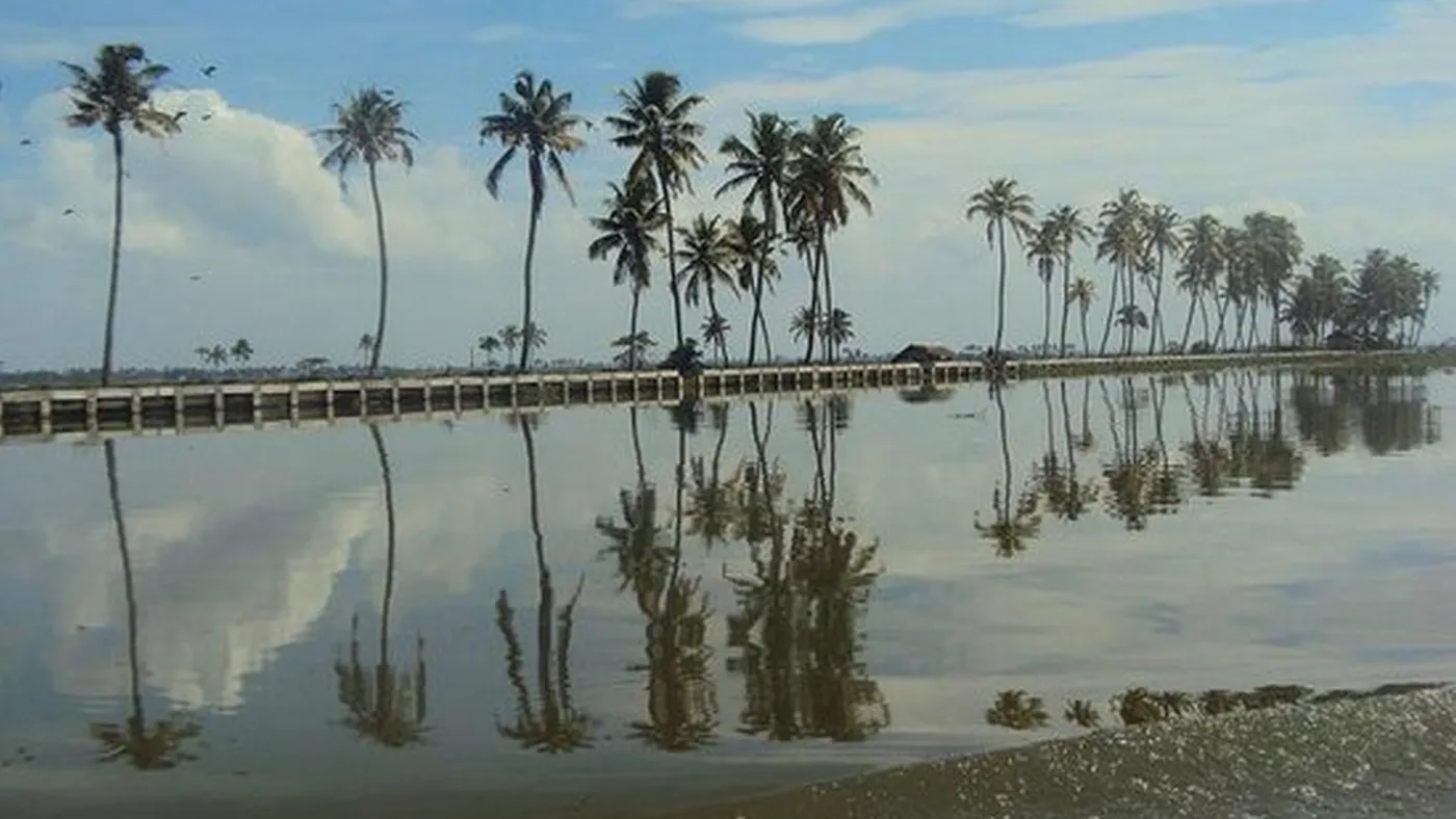 Check out Kappil Lake, Varkala