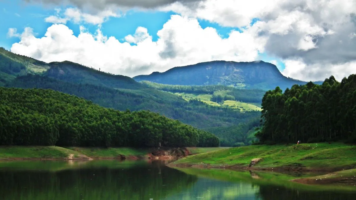 Check out Echo Point, Munnar