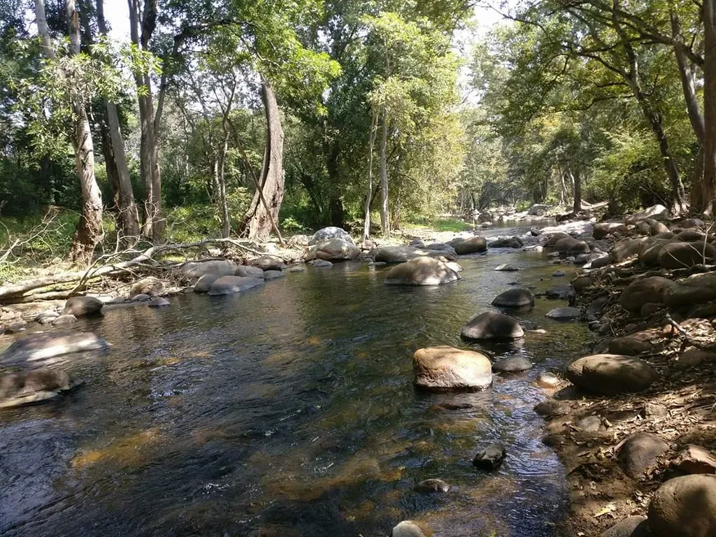 Chinnar Wildlife Sanctuary, Munnar