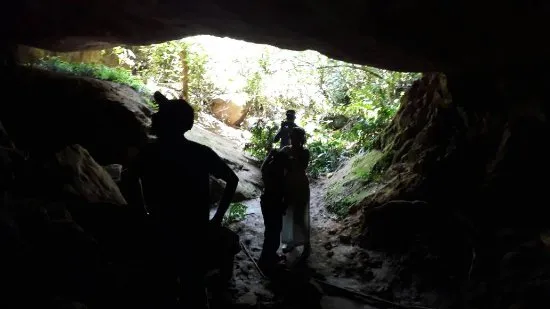 Swiftlet Cave Munnar, Munnar