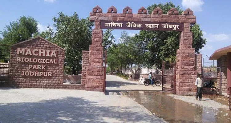 Machia Biological Park, Jodhpur