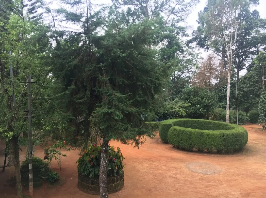 Cinnamon Gardens Spices Plantation, Munnar