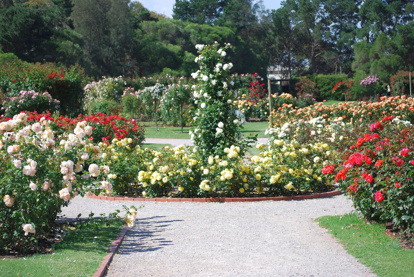 Visit Rose Garden, Munnar