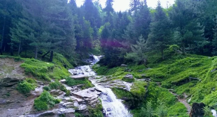 Check out Rahala Falls, Manali
