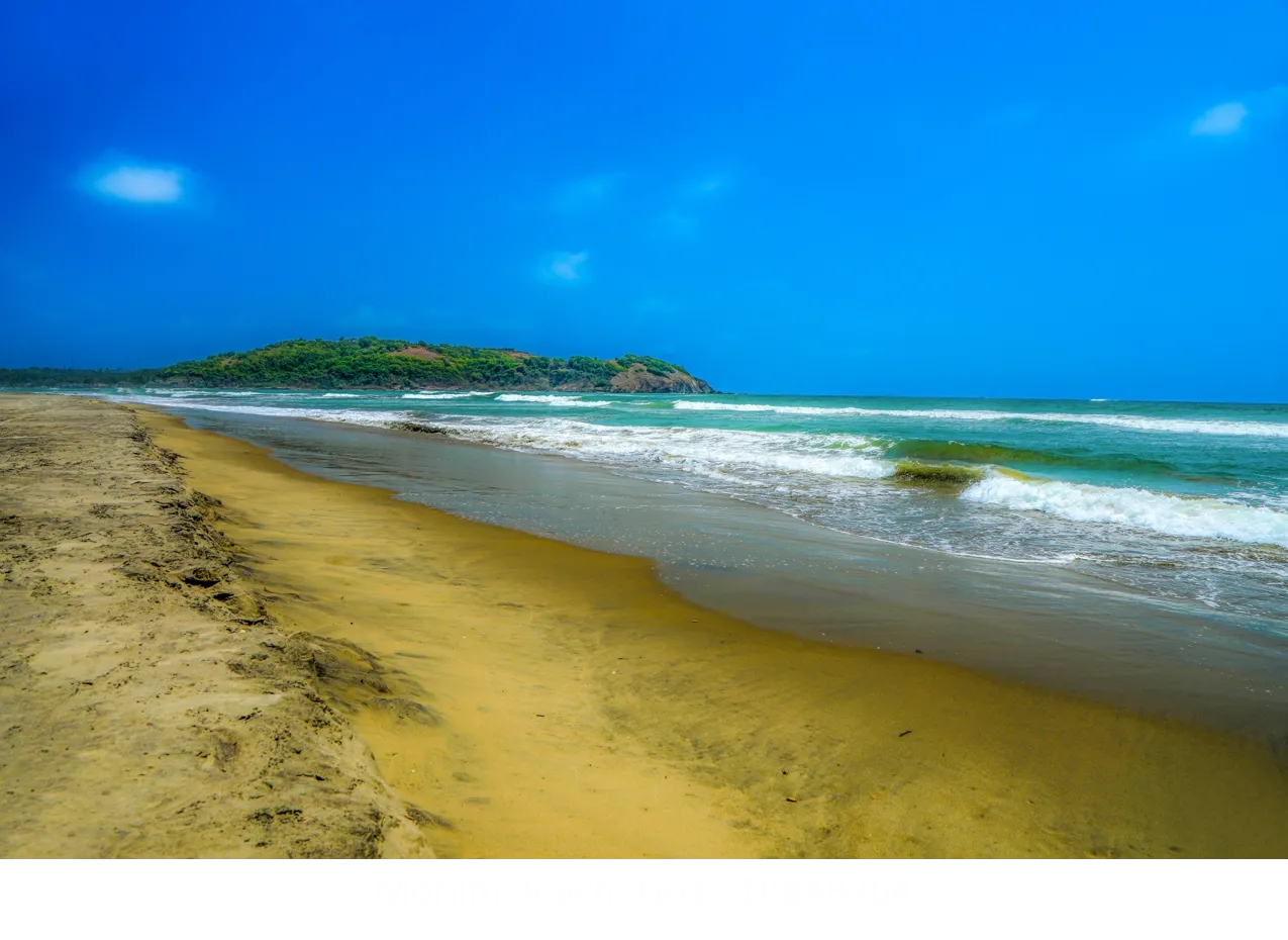 Morjim Beach, North Goa