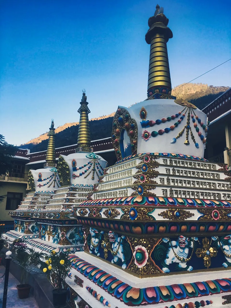 Visit Dhakpo Shedrupling Monastery, Kullu