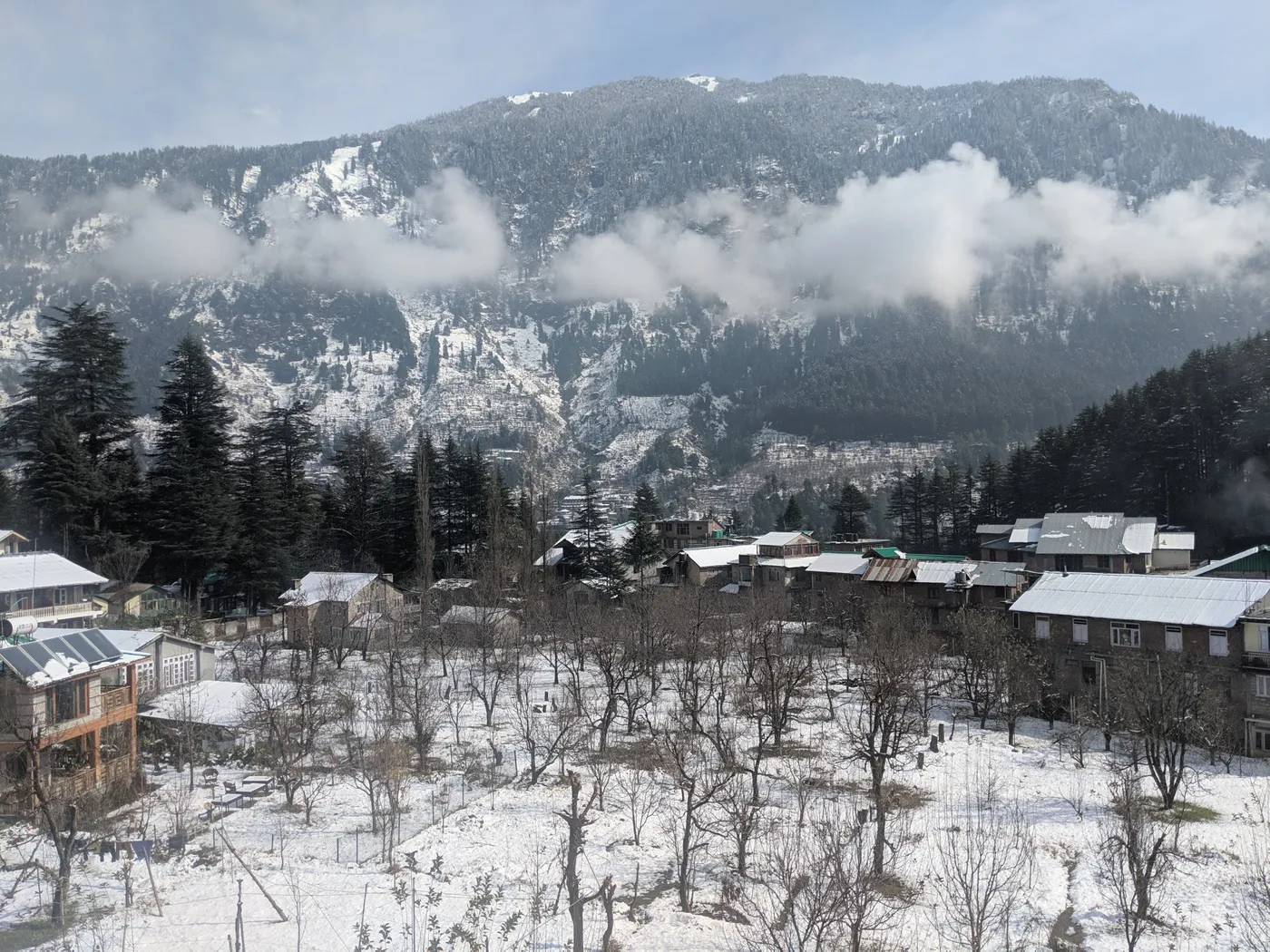 Gulaba, Manali