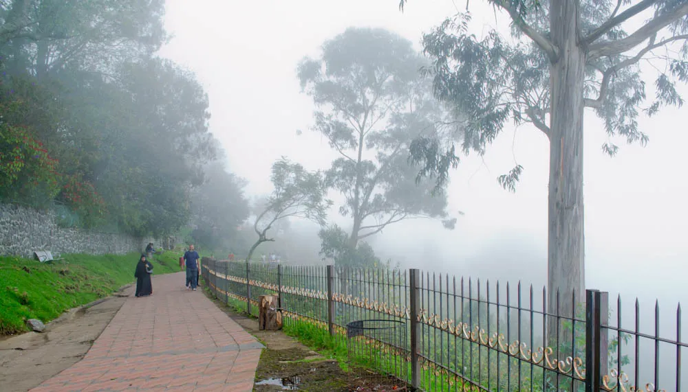 Check out Coakers Walk, Kodaikanal