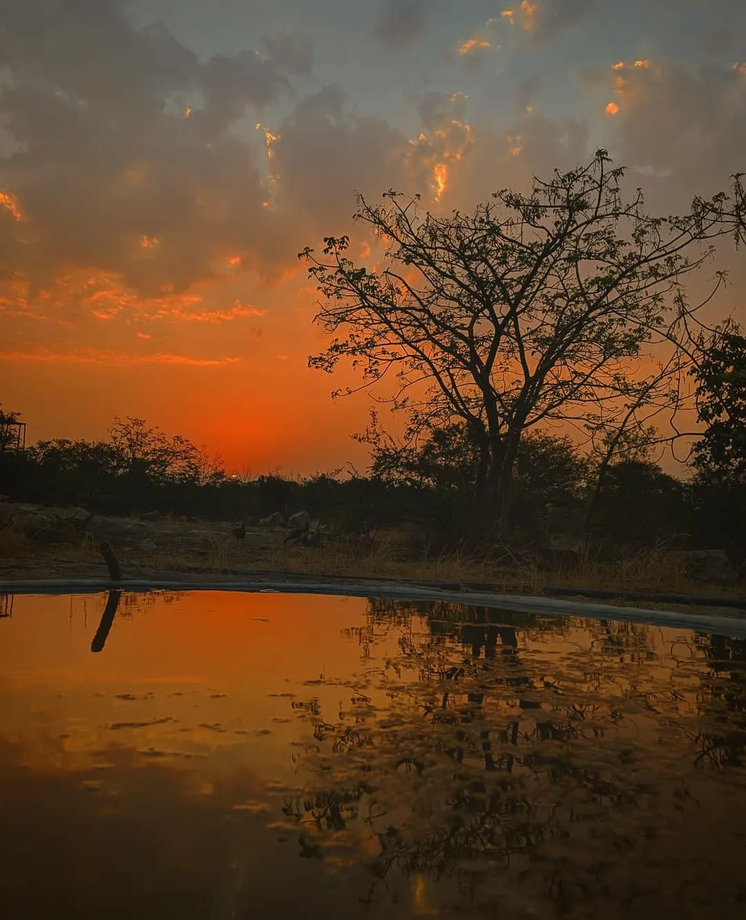 KBR National Park, Hyderabad