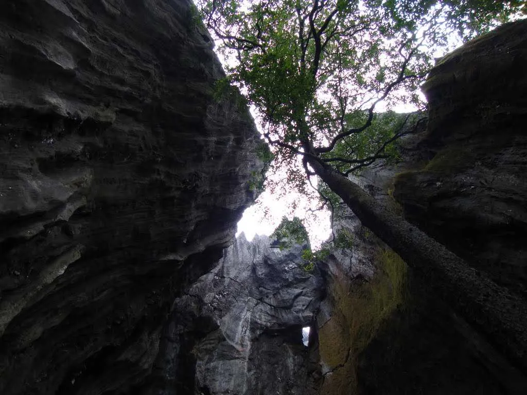 Visit Yana Caves, Gokarna