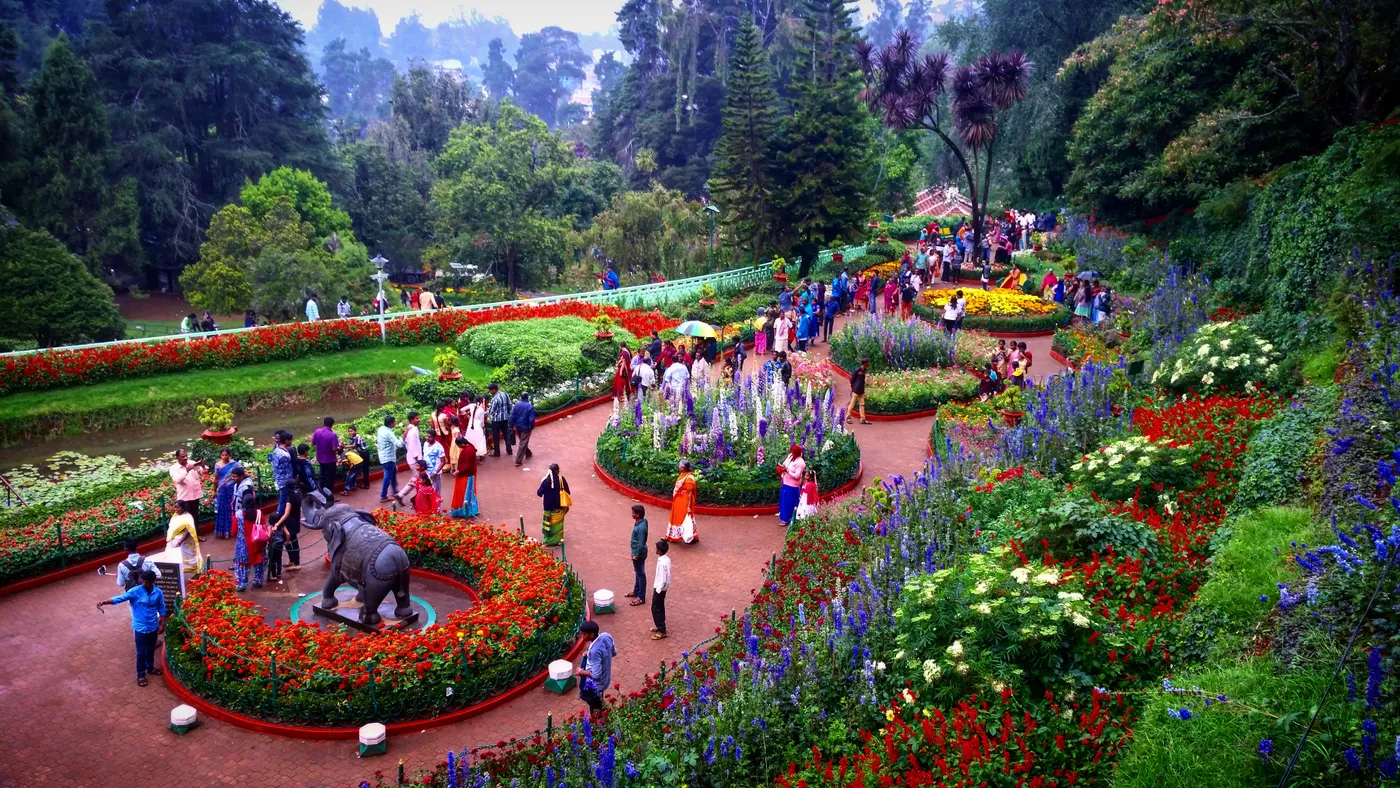 Check out Ooty Botanical Garden, Ooty