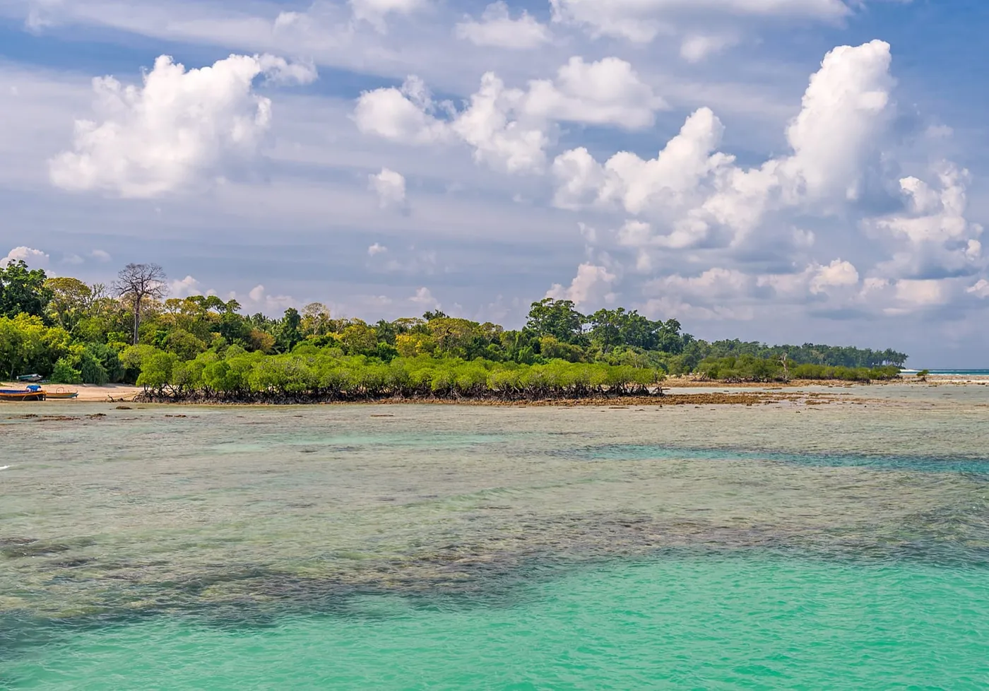 Neil Island: Pristine Bharatpur Beach Adventure, Neil Island