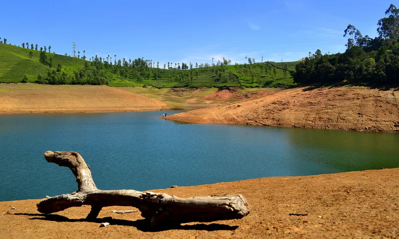 Avalanche Lake, Ooty