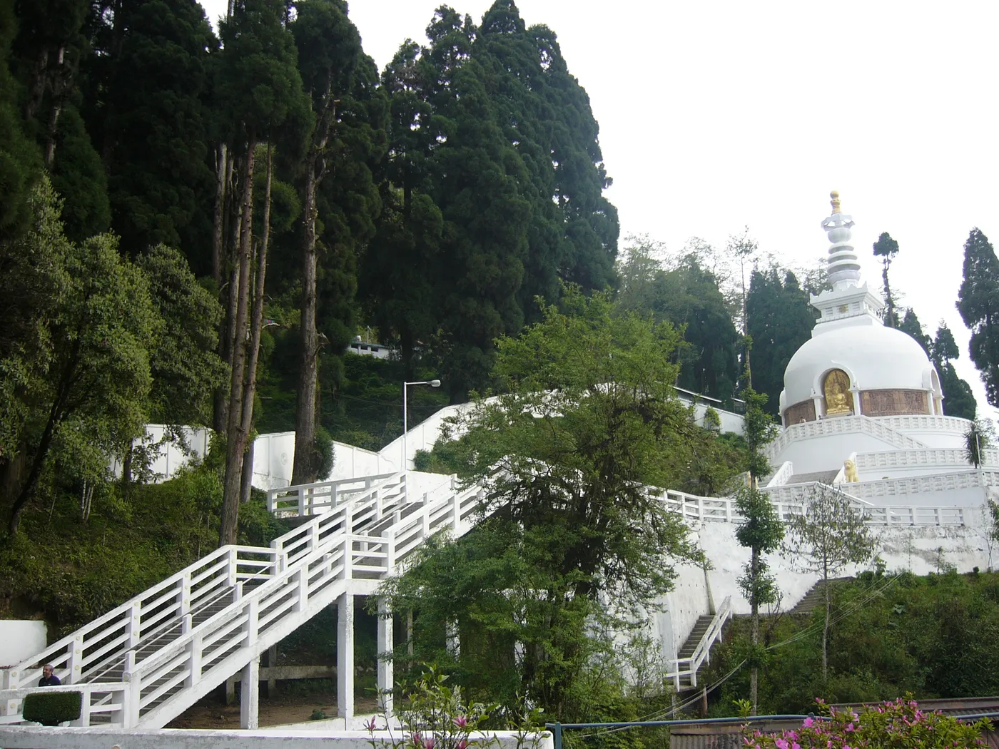 Visit Peace Pagoda, Darjeeling