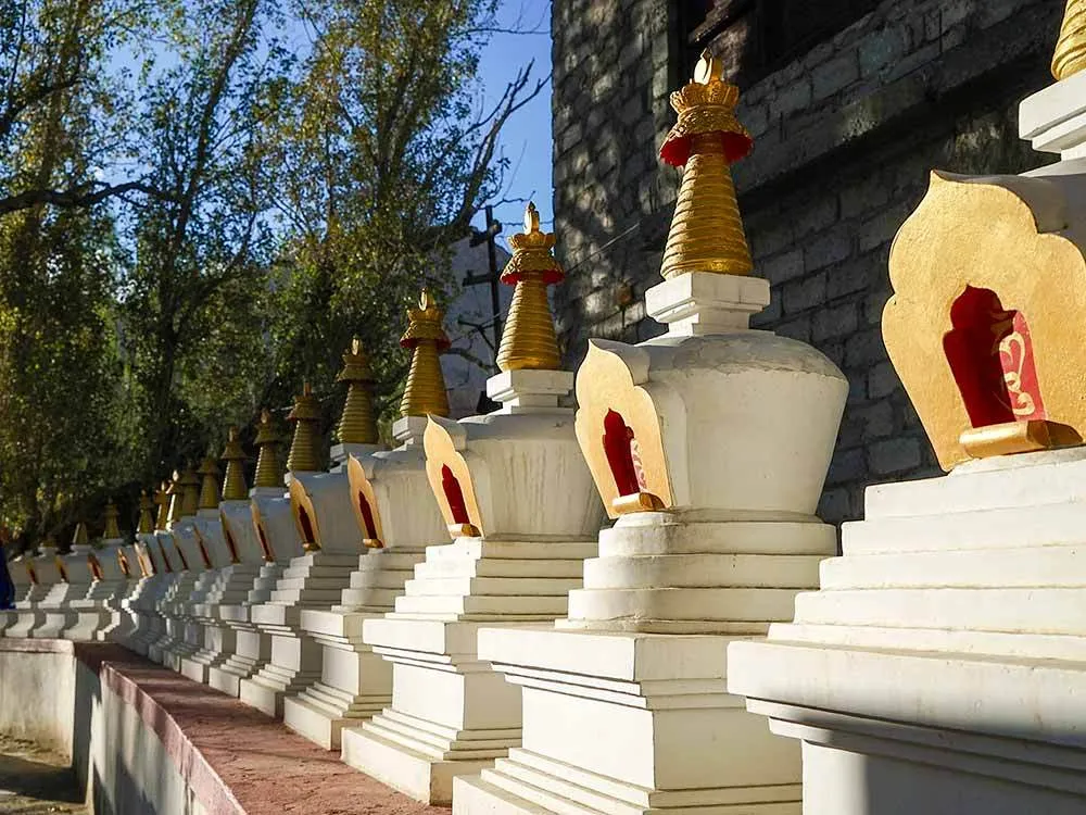 Visit Gomang Stupa, Leh