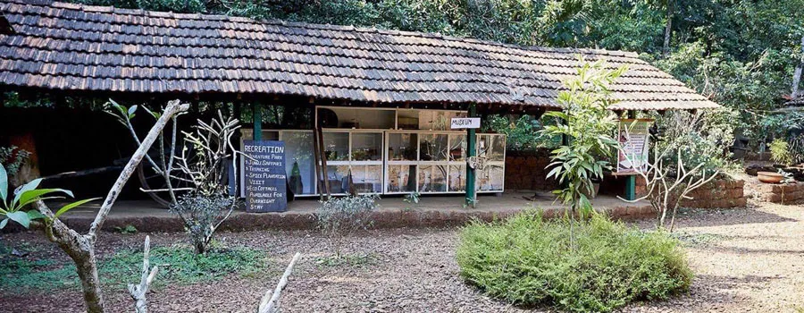 Tanshikar's Working Organic Spice Farm, Agonda