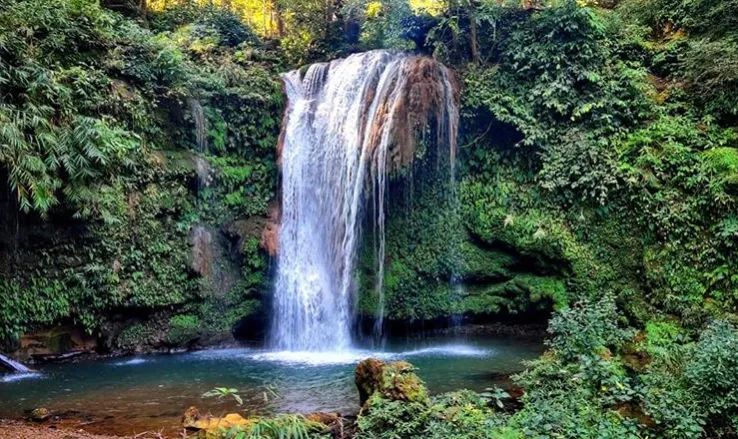 Check out Corbett Falls, Jim Corbett National Park