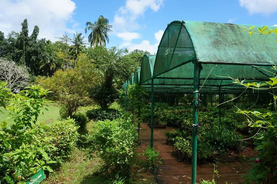 Sippighat Farm, Port Blair