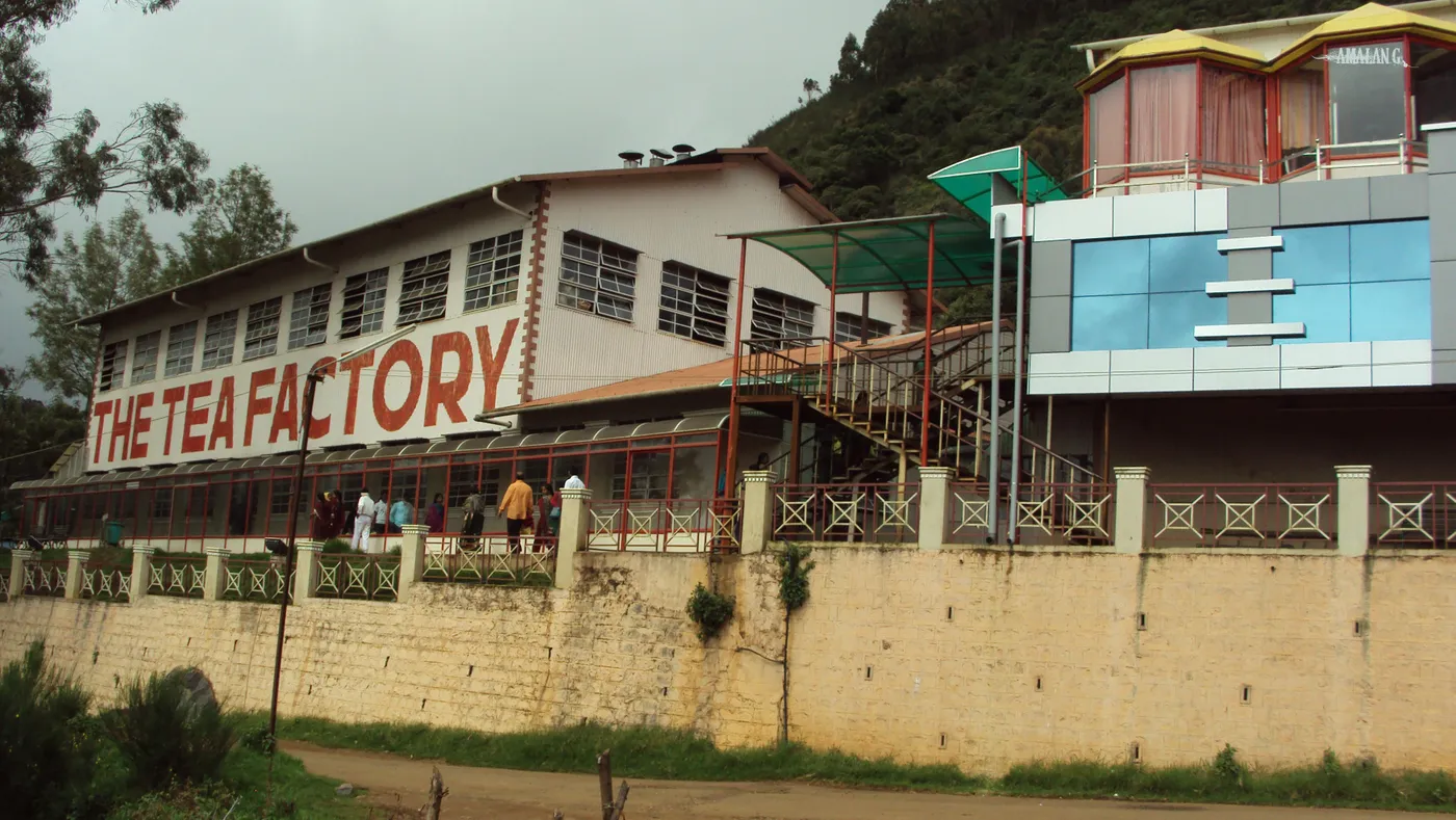 Tea Factory & Tea Museum, Ooty