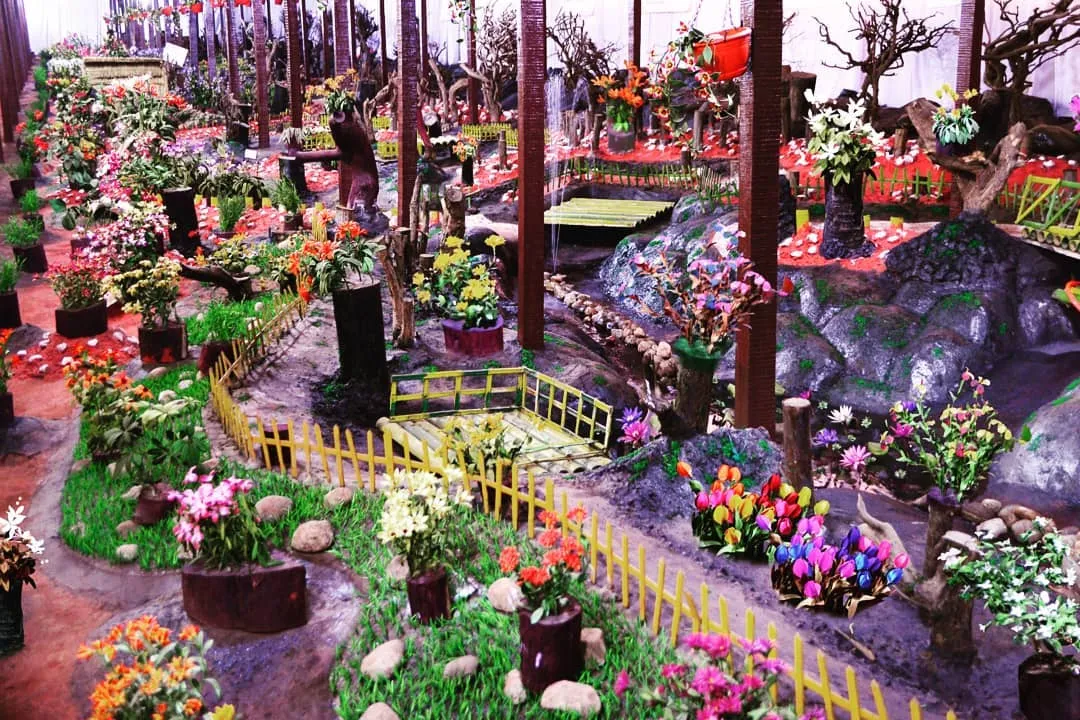 Visit Thread Garden, Ooty