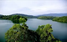 Explore Neyyar Wildlife Sanctuary, Trivandrum