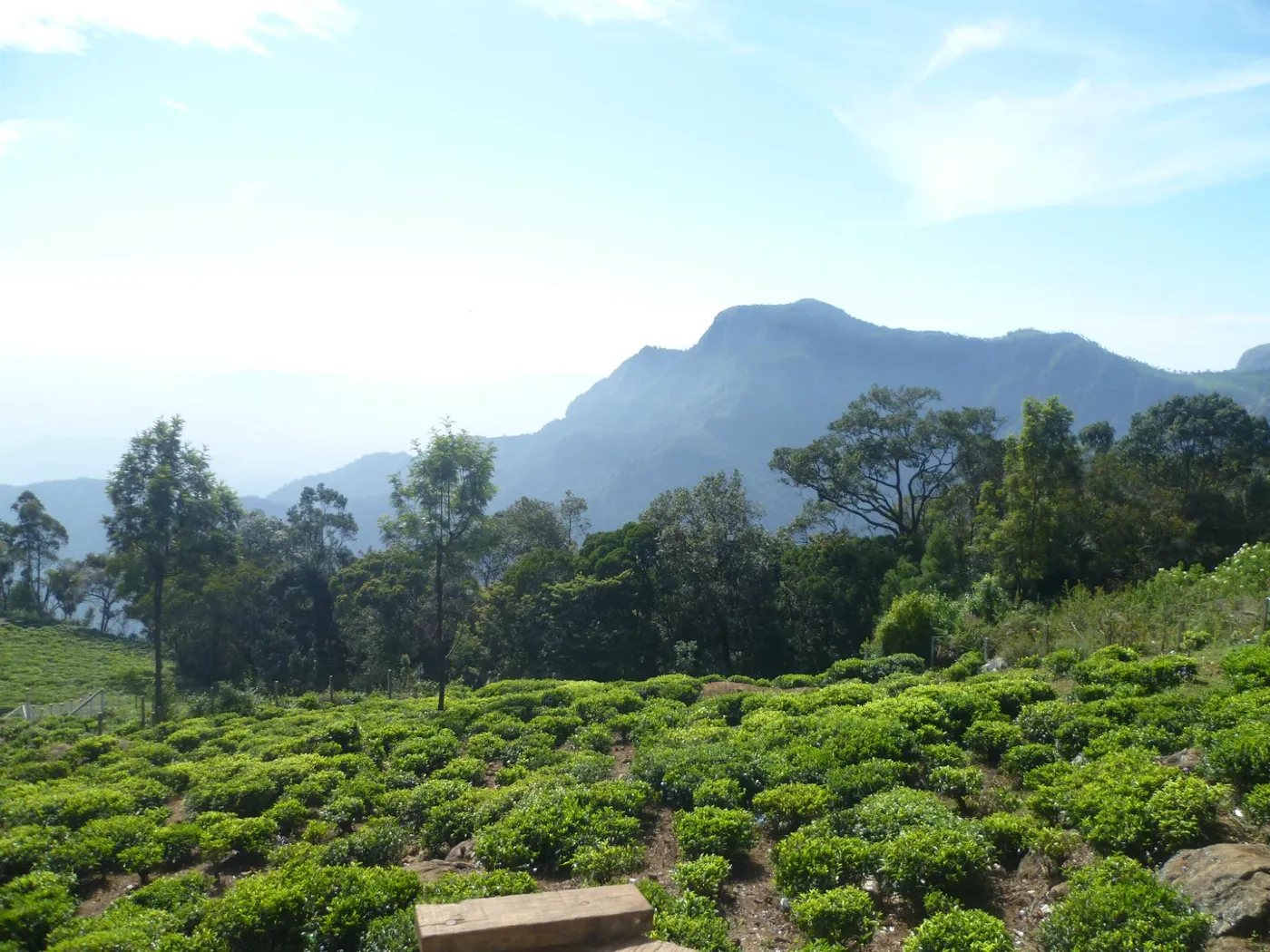 Lady Canning's Seat, Ooty
