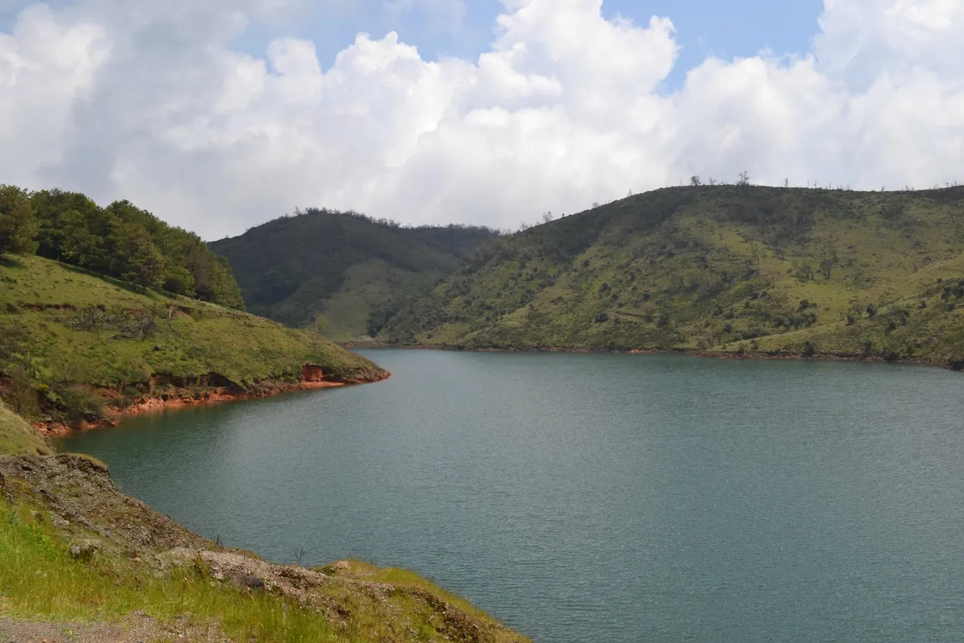Check out Sanctuary Avalanche, Ooty