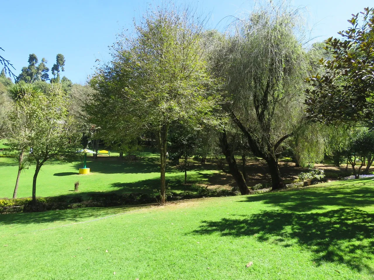 Explore Government Botanical Garden, Ooty