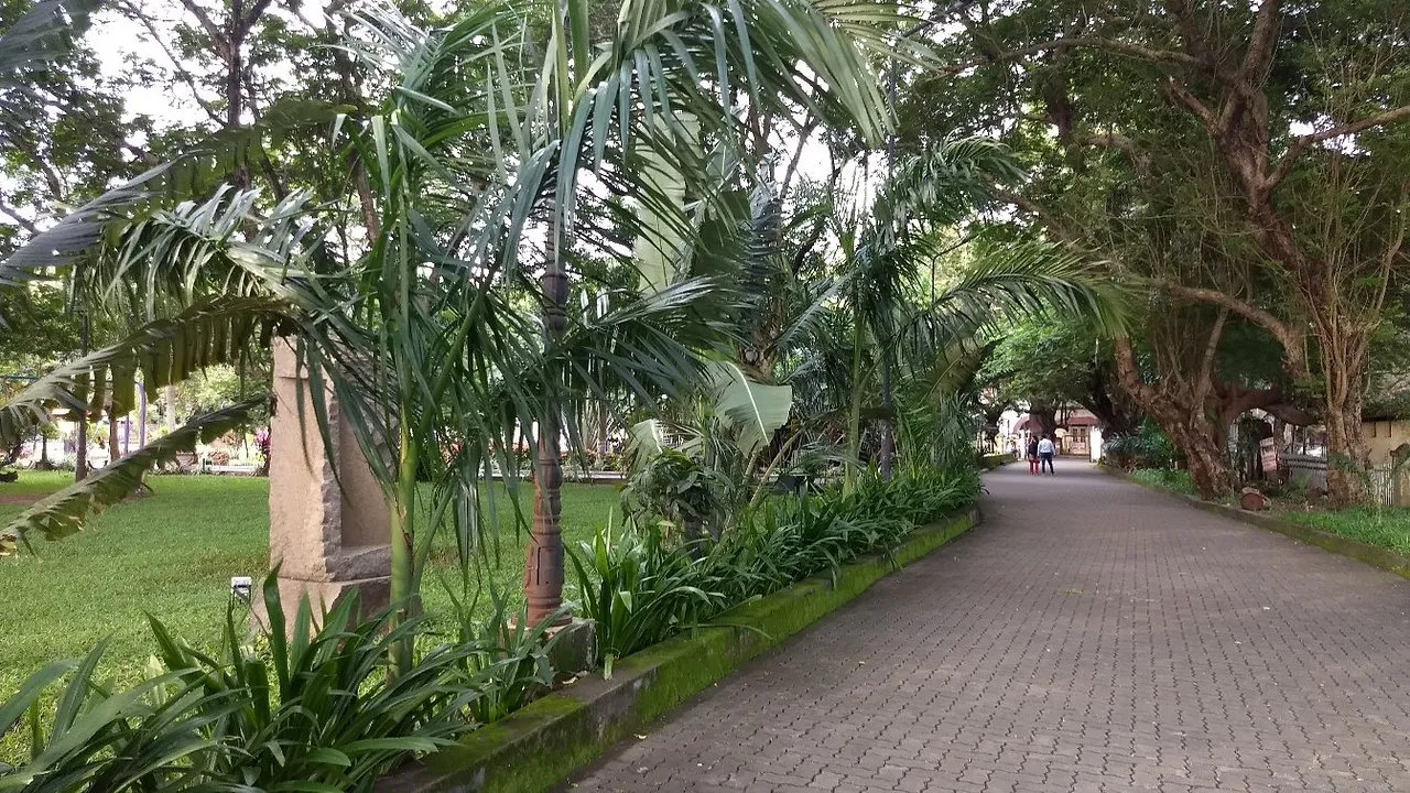 Explore Subhash Park, Kochi