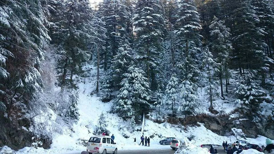 Himalayan Nature Park, Kufri