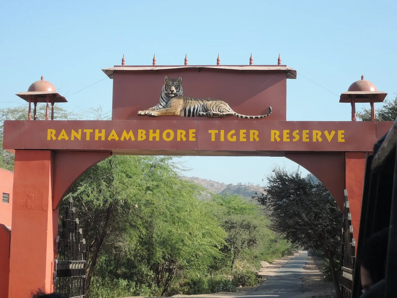 Visit Ranthambore Tiger Reserve, Ranthambore