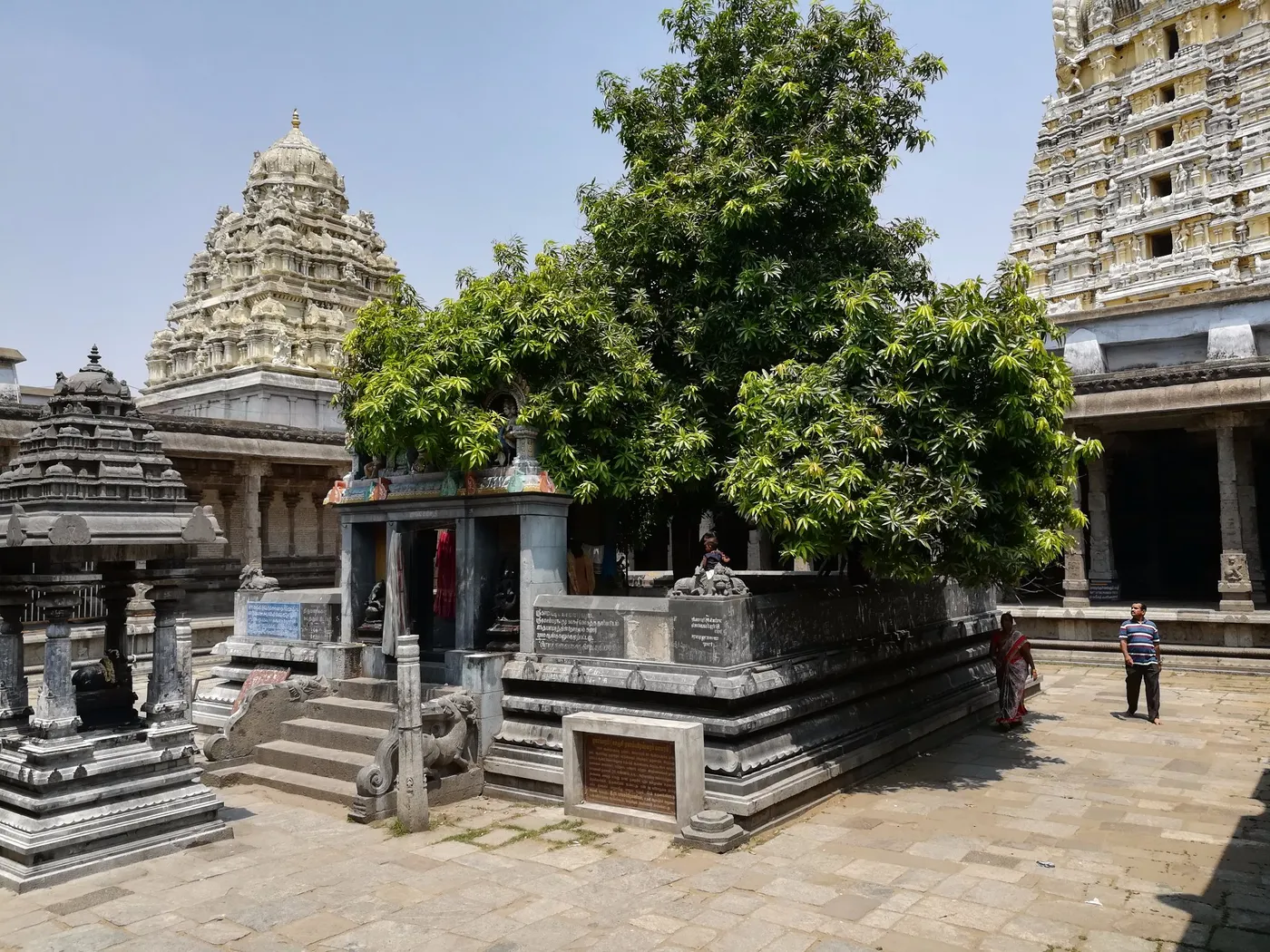 Explore Ekambareswarar Temple, Kanchipuram
