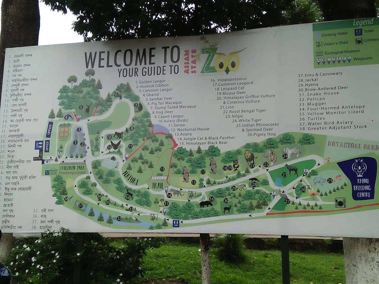 Assam State Zoo and Botanical Garden, Guwahati