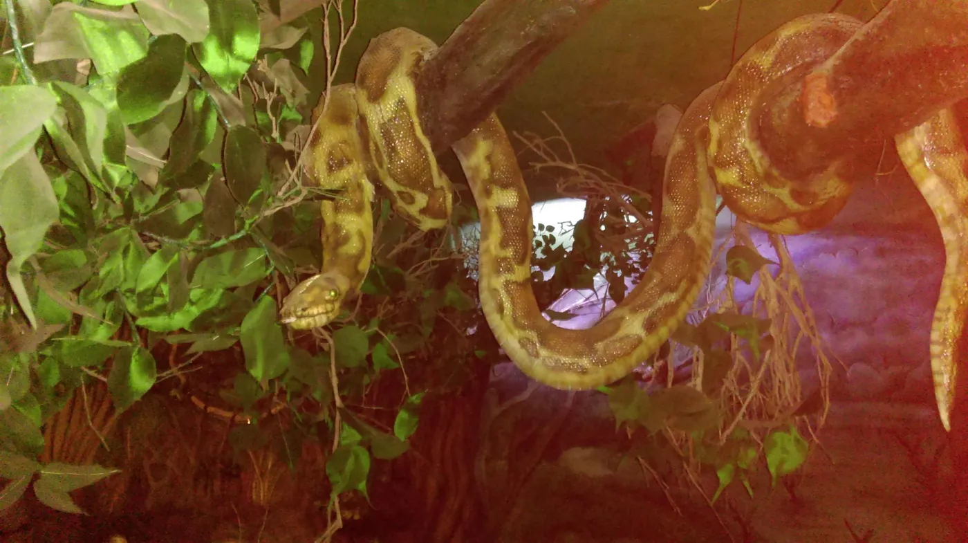 Visit The Periyar Interpretation Centre, Thekkady