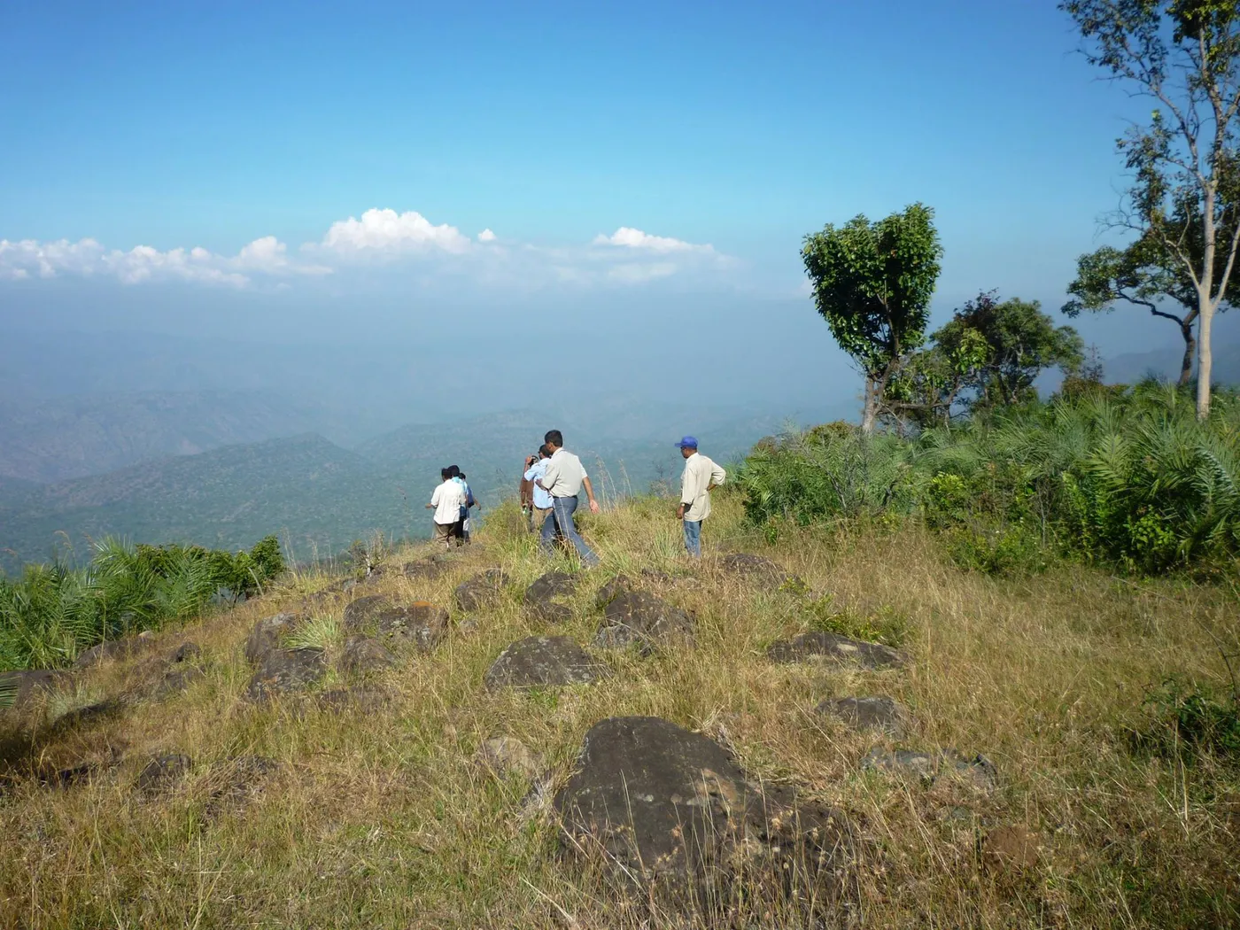 Explore Hidden Valley Jungle Camp, Ooty