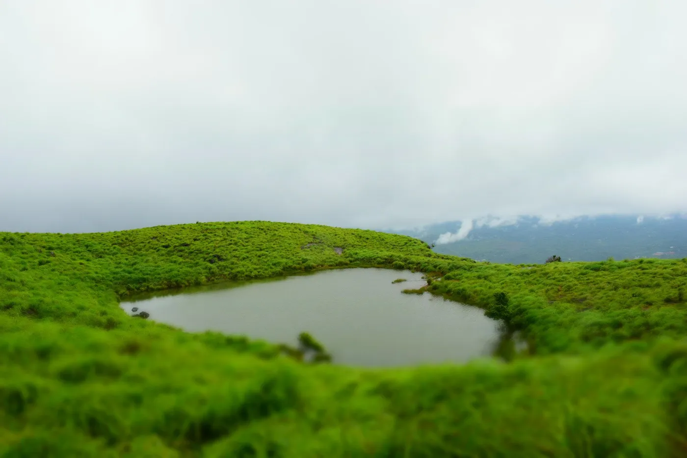 Explore Chembra Peak, Wayanad