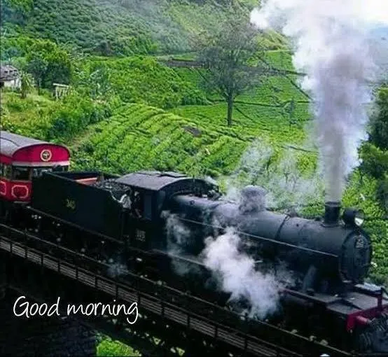 Fun Fantasy, Wayanad