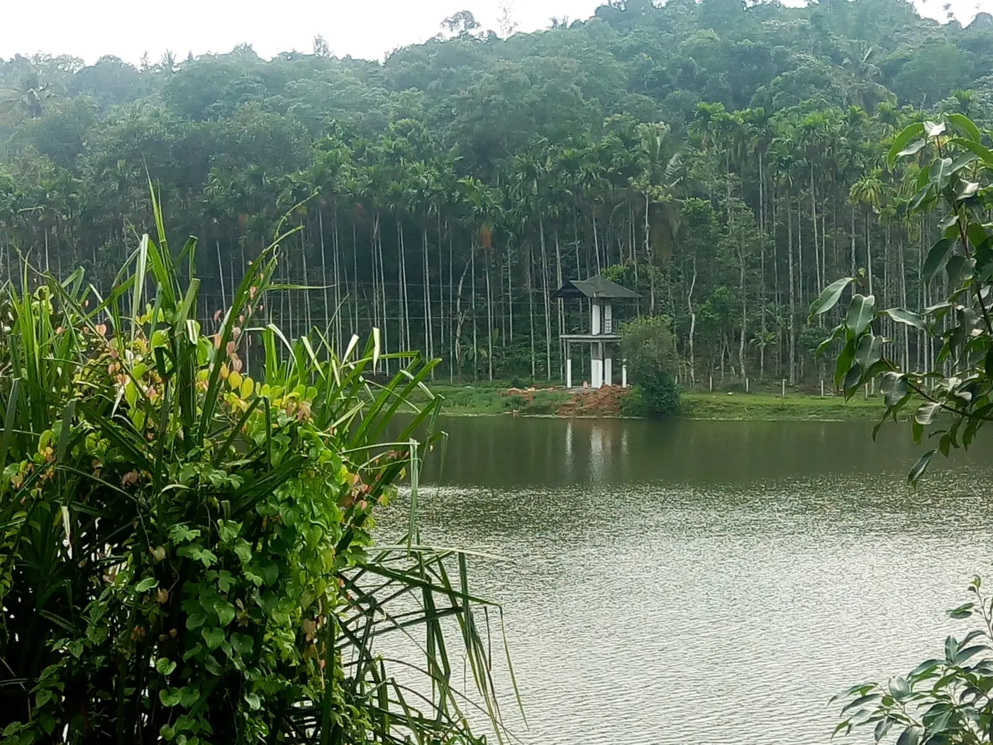 Check out Karlad Lake, Wayanad