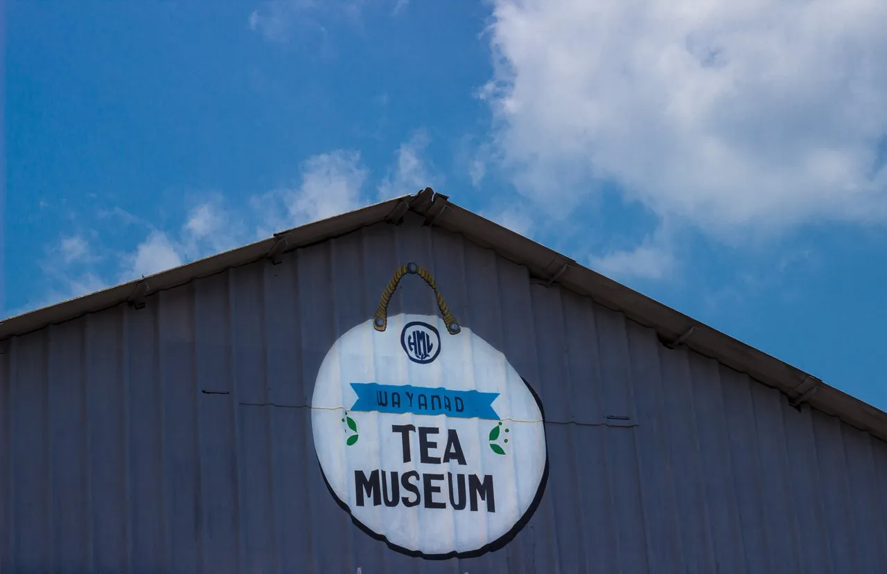 Explore Wayanad Tea Museum, Wayanad