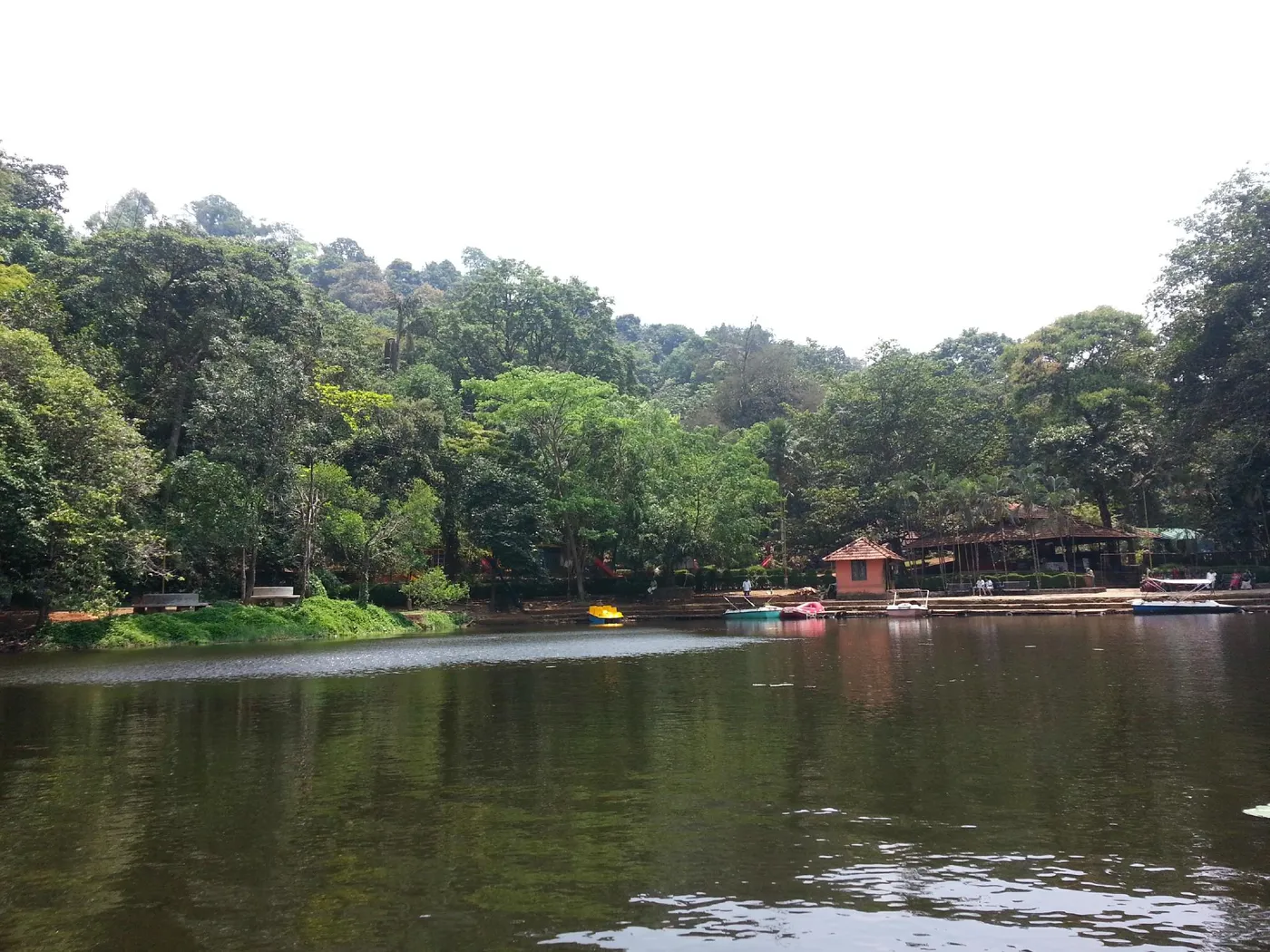 Visit Pookot Lake, Wayanad