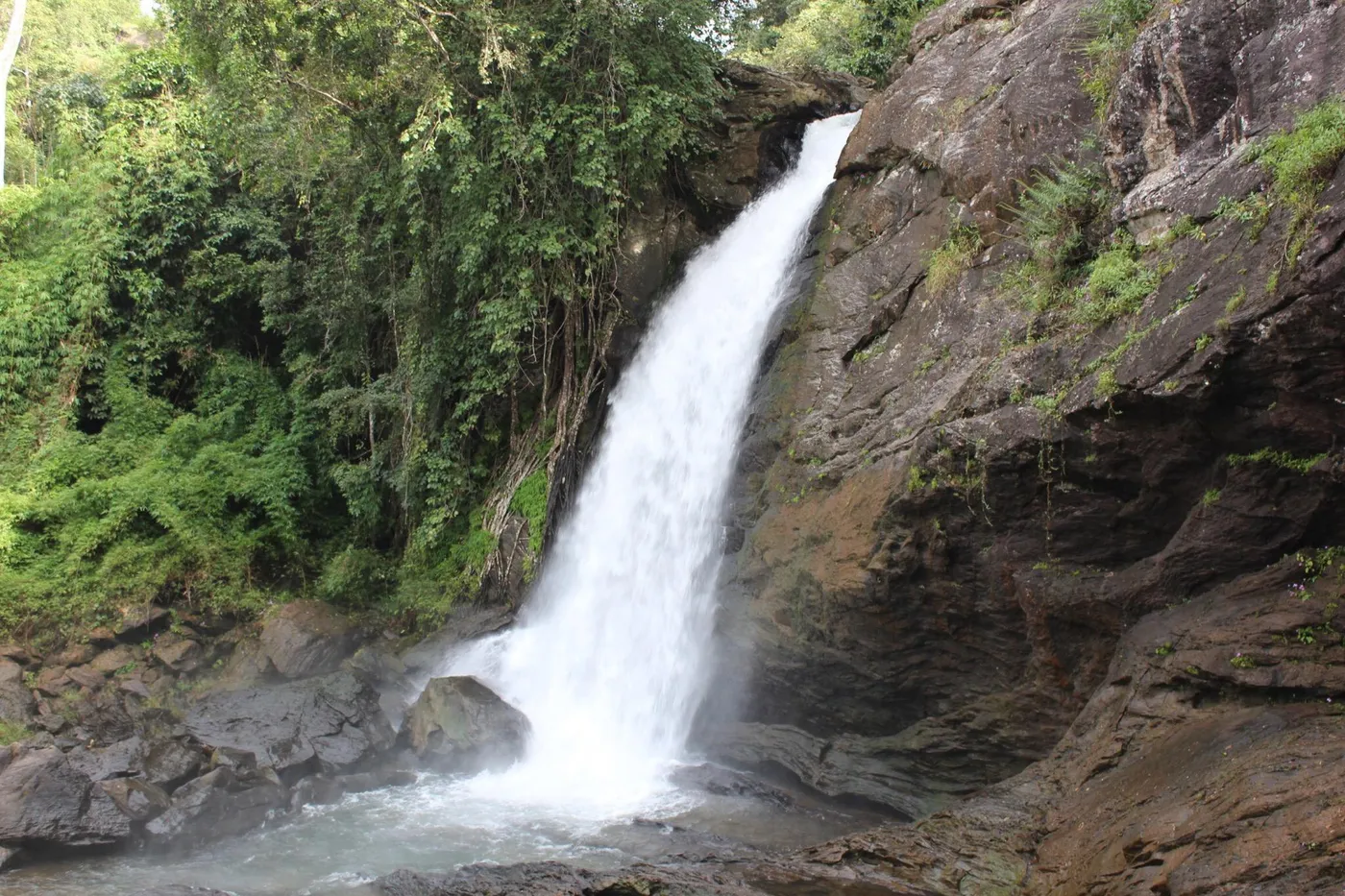 Explore Soochippara Falls (Sentinel Rock Waterfall), Wayanad