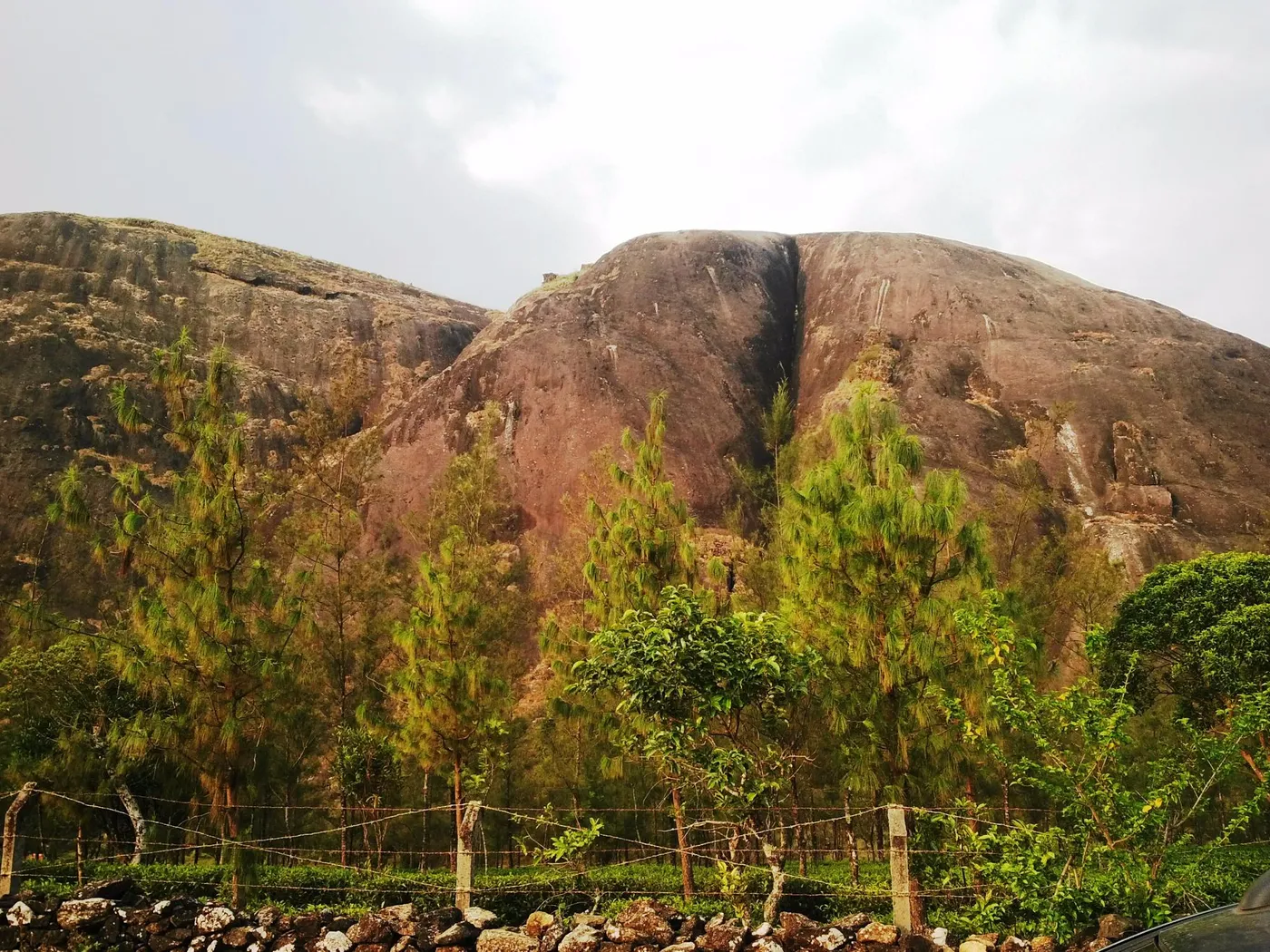 Check out Thangal Hill, Vagamon