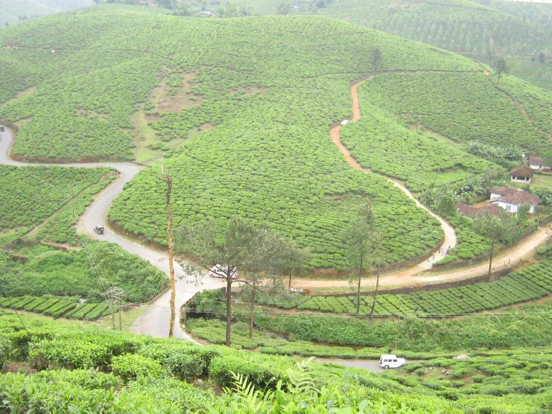 Check out Mundakayam Ghat, Vagamon