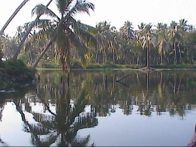 Explore Karamana River, Kovalam