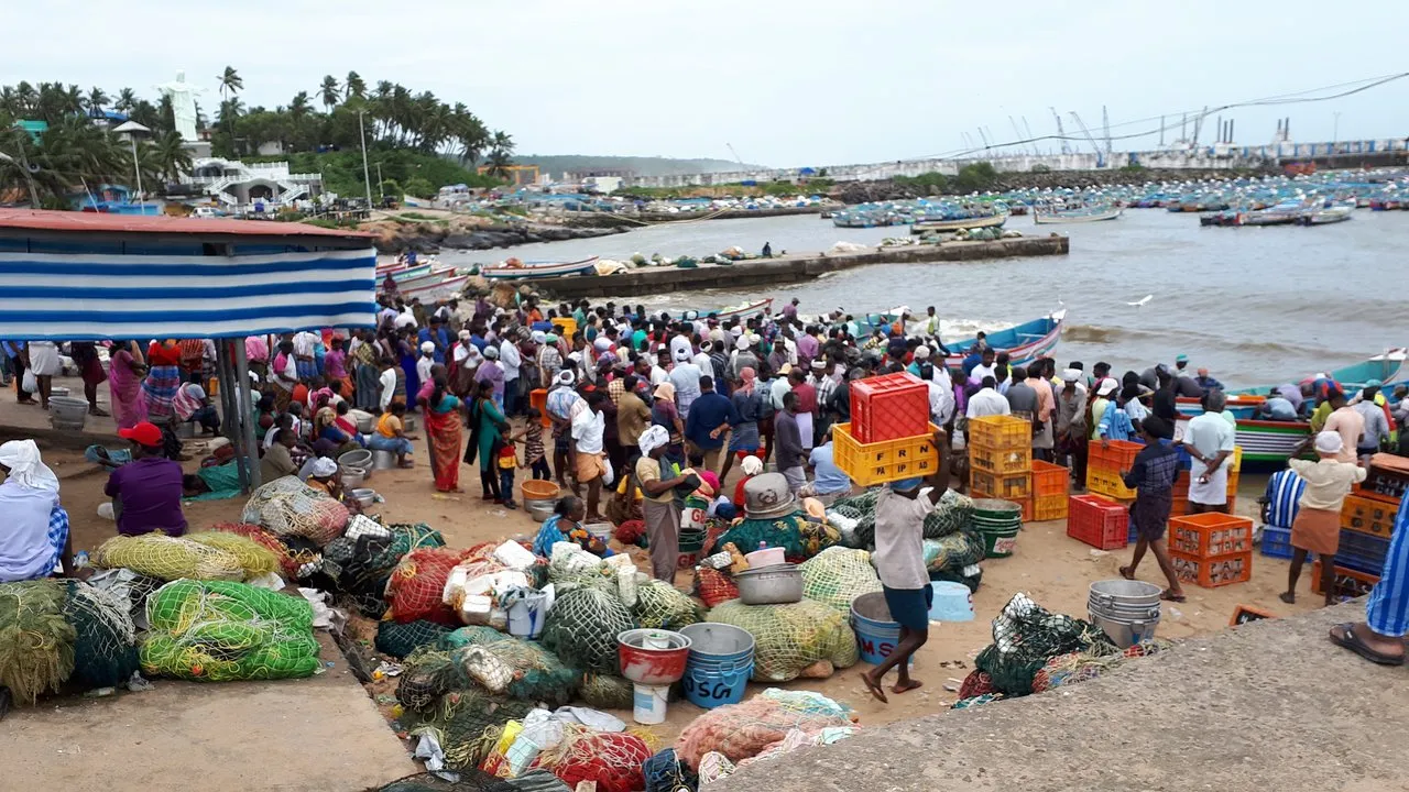 Visit Kovalam Fish Market, Kovalam